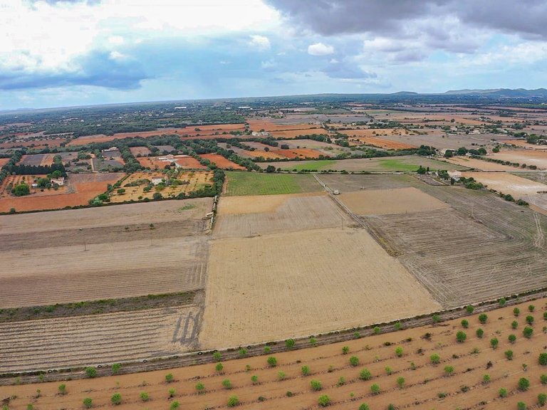 Plot for Sale in Felanitx, Balearic Islands 3