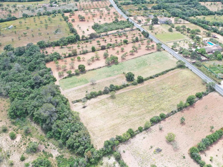 Plot for Sale in Felanitx, Balearic Islands 4