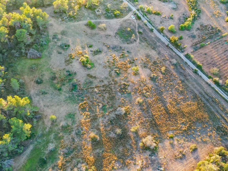 Plot for Sale in Cas Concos, Balearic Islands 14