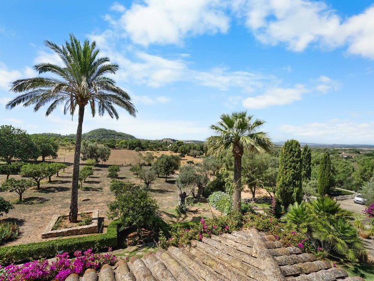 Country House for Sale in Felanitx, Balearic Islands 45