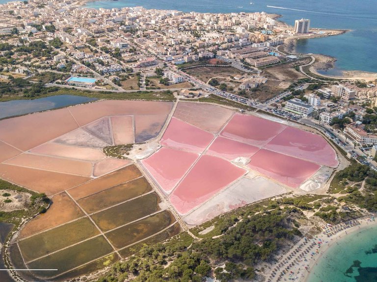 Country House for Sale in Ses Salines, Balearic Islands 31