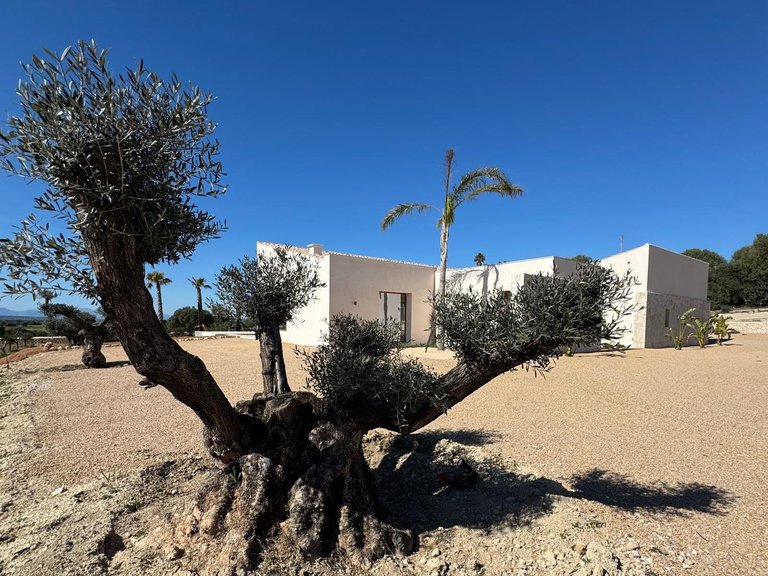 Country House for Sale in Manacor, Balearic Islands 2