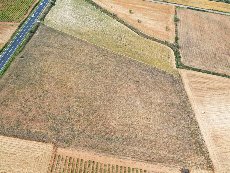 Plot for Sale in Felanitx, Balearic Islands 10
