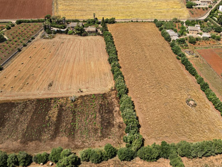 Plot for Sale in Felanitx, Balearic Islands 11