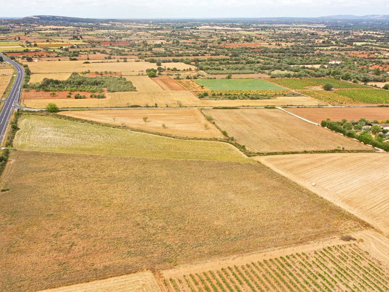 Plot for Sale in Felanitx, Balearic Islands 7