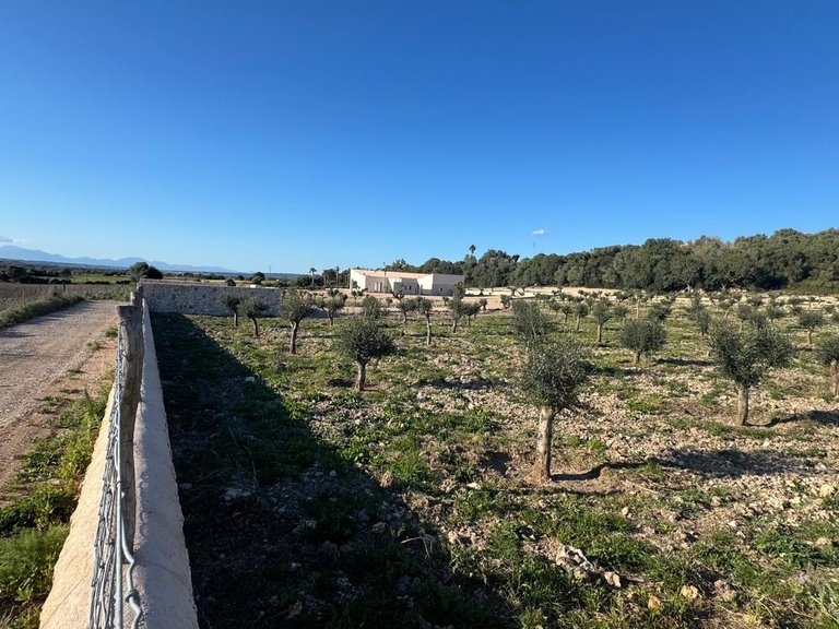 Country House for Sale in Manacor, Balearic Islands 34