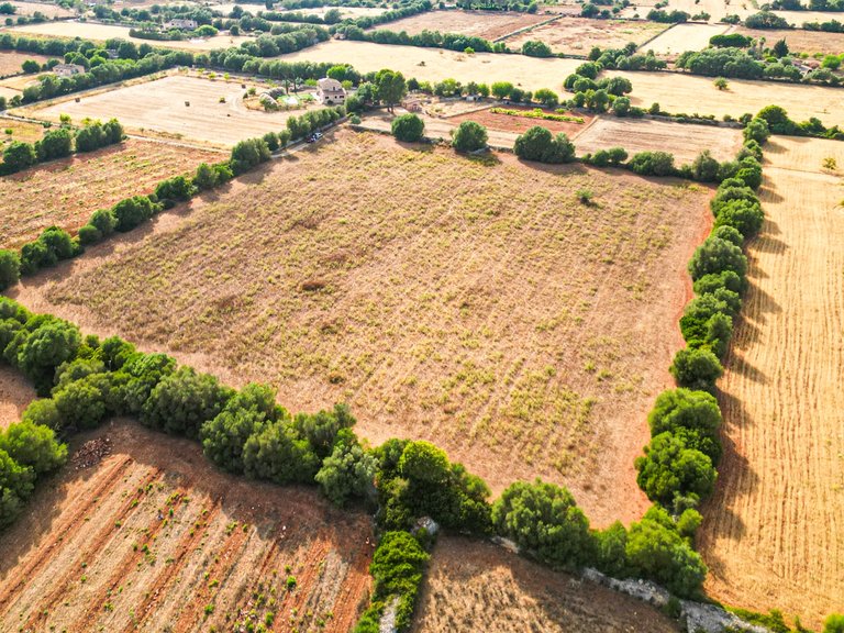 Plot for Sale in Felanitx, Balearic Islands 12