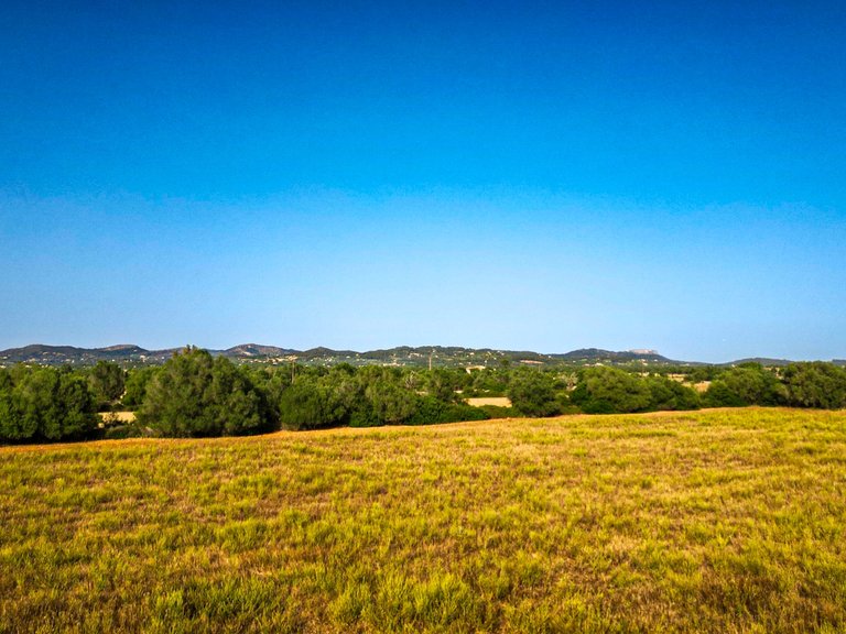 Plot for Sale in Felanitx, Balearic Islands 11