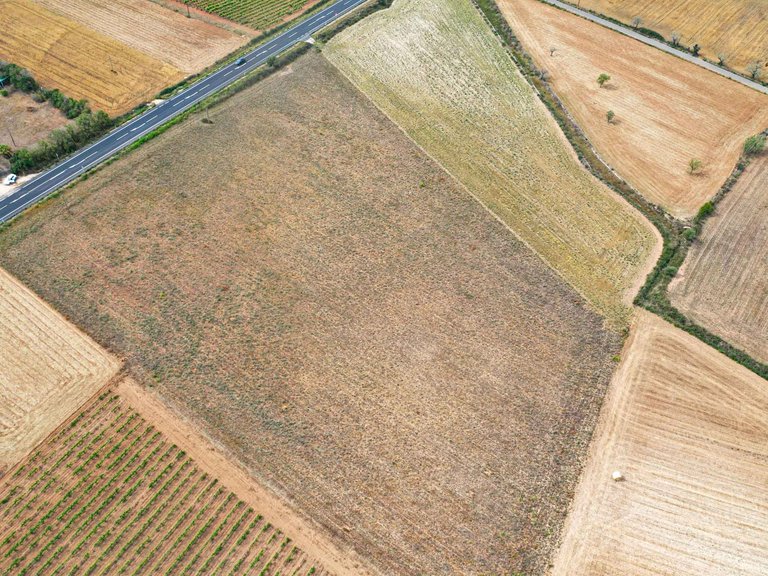 Plot for Sale in Felanitx, Balearic Islands 9