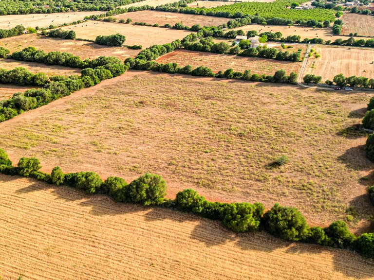 Plot for Sale in Felanitx, Balearic Islands 8