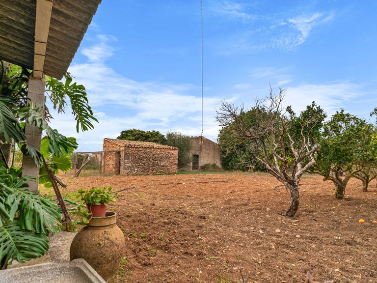 Country House for Sale in Felanitx, Balearic Islands 13