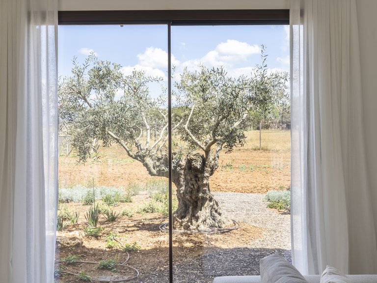 Country House for Sale in Sa Ràpita, Balearic Islands 26