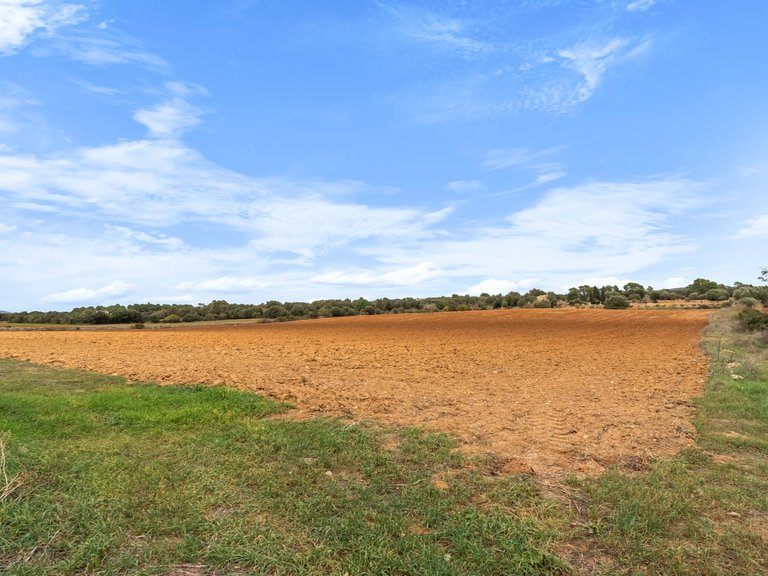 Country House for Sale in Felanitx, Balearic Islands 12