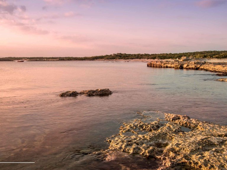 Country House for Sale in Ses Salines, Balearic Islands 32