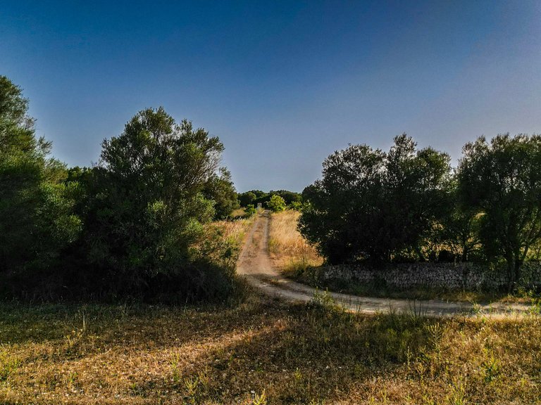 Plot for Sale in Felanitx, Balearic Islands 3