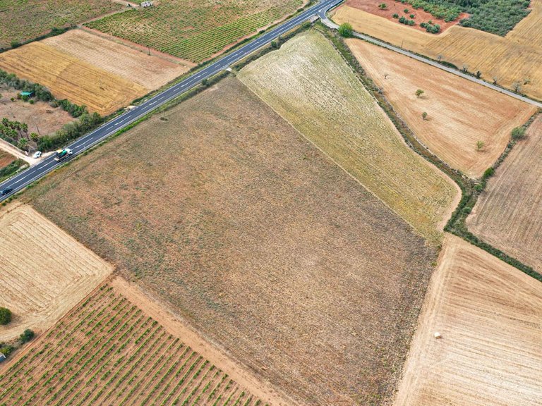 Plot for Sale in Felanitx, Balearic Islands 4