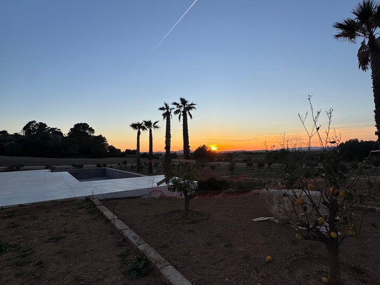 Country House for Sale in Manacor, Balearic Islands 13