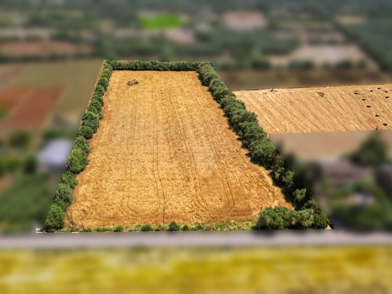 Plot for Sale in Felanitx, Balearic Islands 2