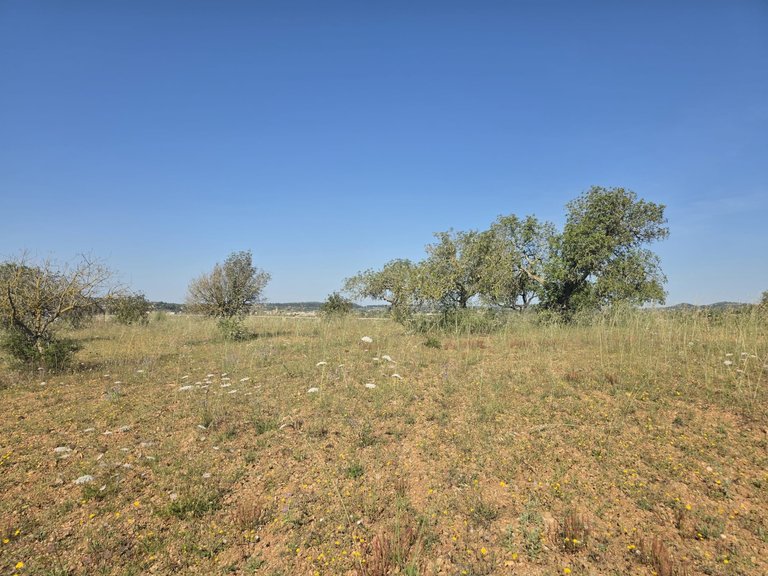 Plot for Sale in Manacor, Balearic Islands 2