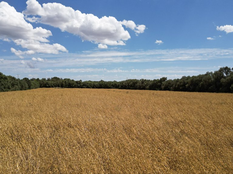 Plot for Sale in Felanitx, Balearic Islands 7
