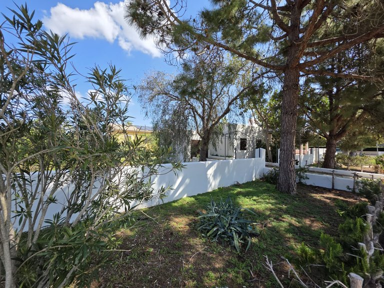 Villa for Sale in Sa Coma, Balearic Islands 6