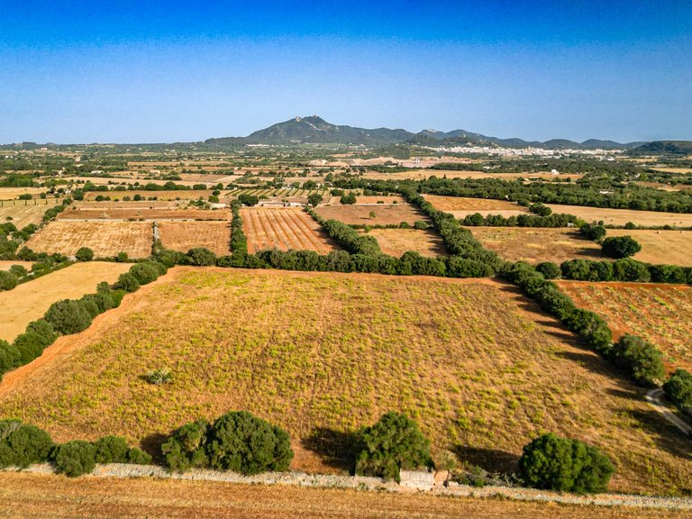Plot for Sale in Felanitx, Balearic Islands 6