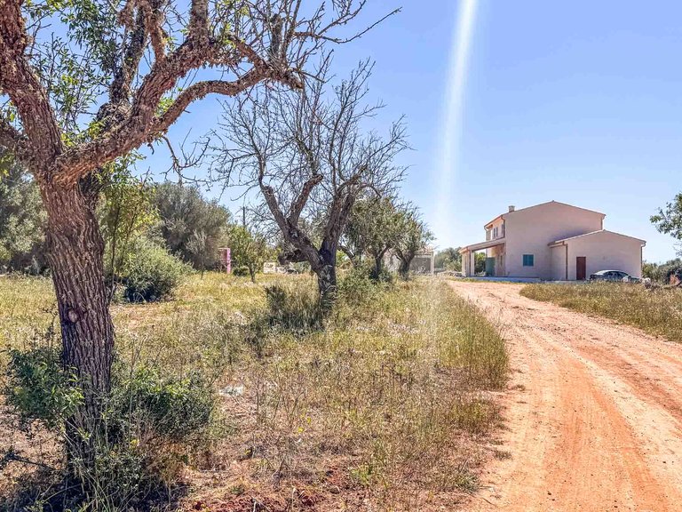 Country House for Sale in Ses Salines, Balearic Islands 19