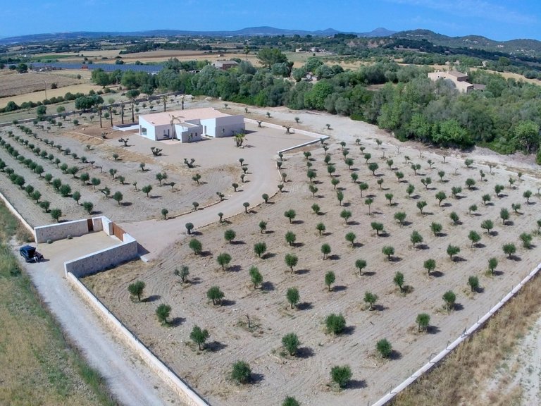 Country House for Sale in Manacor, Balearic Islands 9