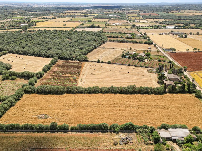 Plot for Sale in Felanitx, Balearic Islands 13