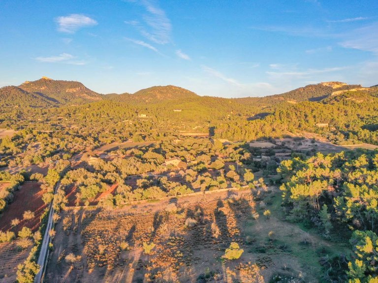 Plot for Sale in Cas Concos, Balearic Islands 12