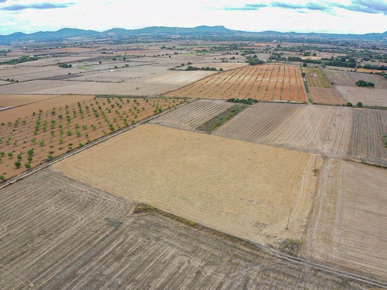 Plot for Sale in Felanitx, Balearic Islands 5