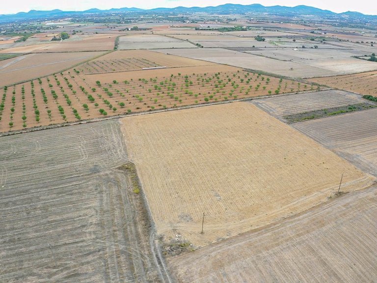 Plot for Sale in Felanitx, Balearic Islands 4
