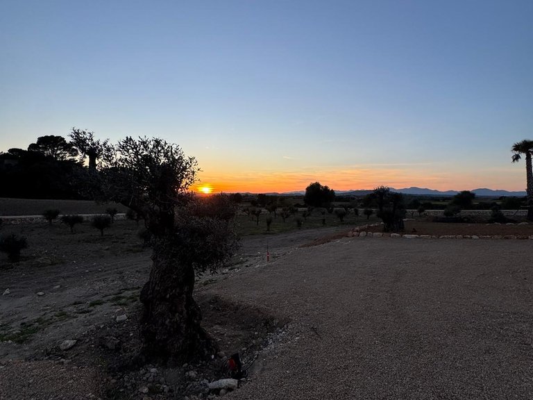 Country House for Sale in Manacor, Balearic Islands 8