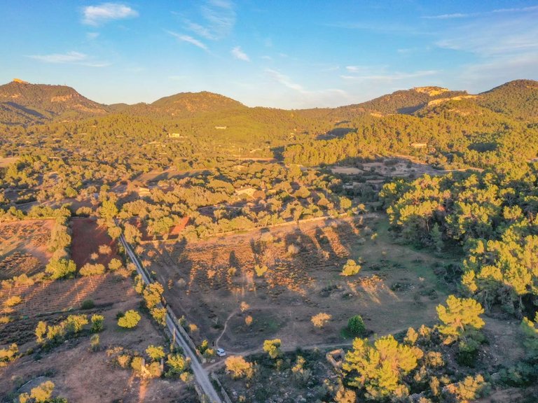Plot for Sale in Cas Concos, Balearic Islands 10