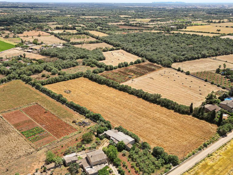 Plot for Sale in Felanitx, Balearic Islands 9