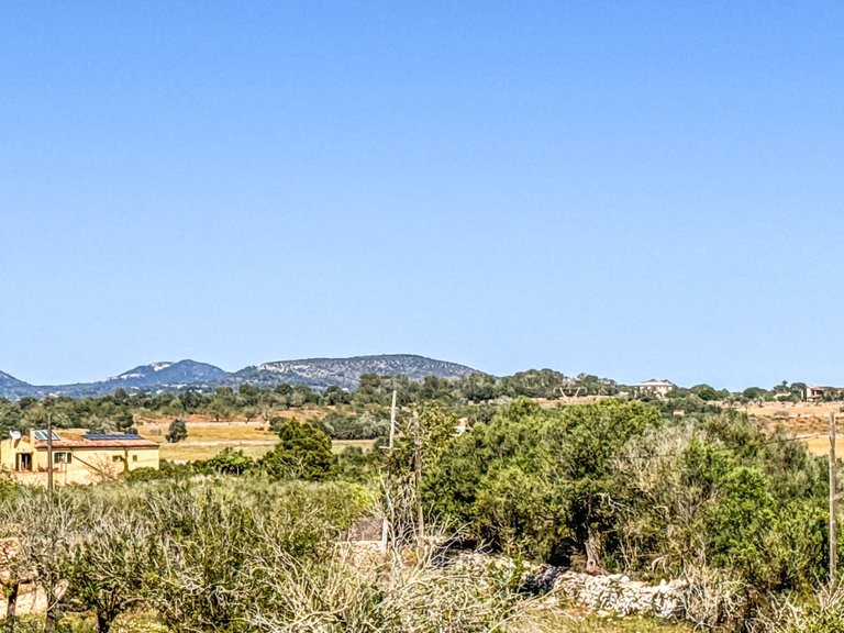 Country House for Sale in Ses Salines, Balearic Islands 13