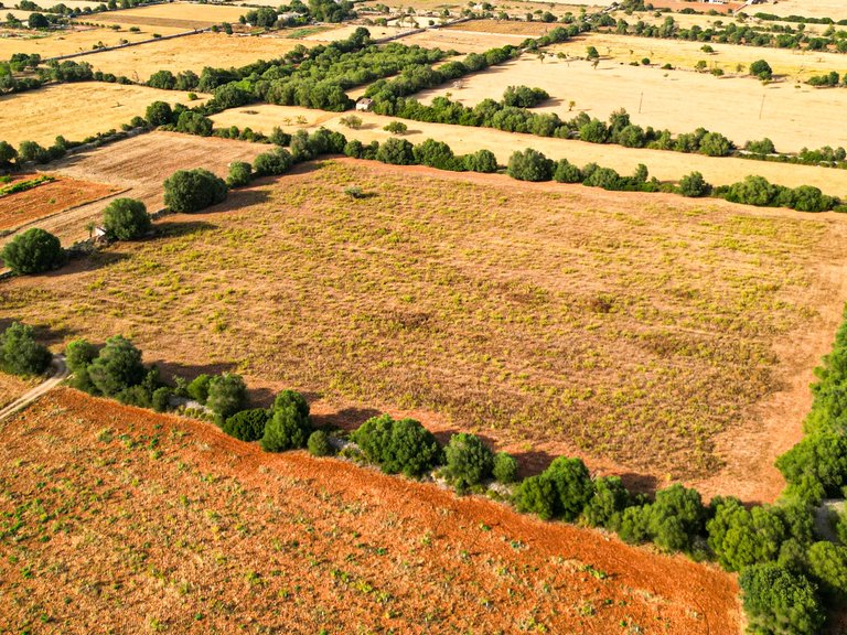 Plot for Sale in Felanitx, Balearic Islands 4