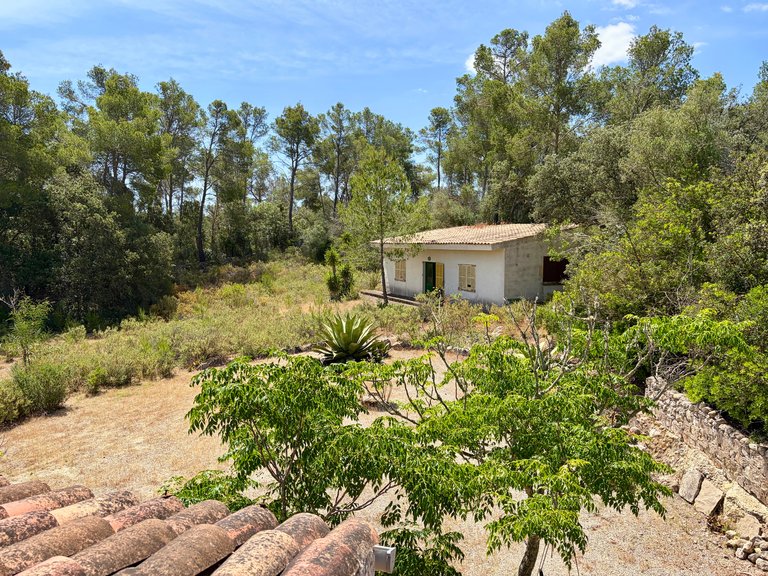 Country House for Sale in Sant Joan, Balearic Islands 17