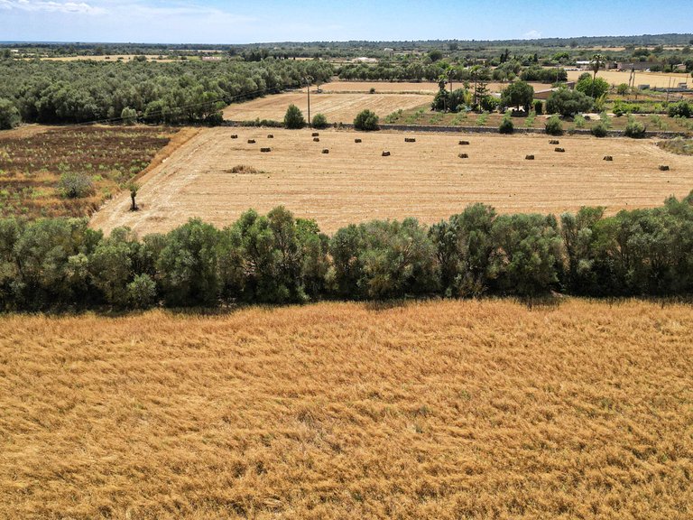 Plot for Sale in Felanitx, Balearic Islands 14