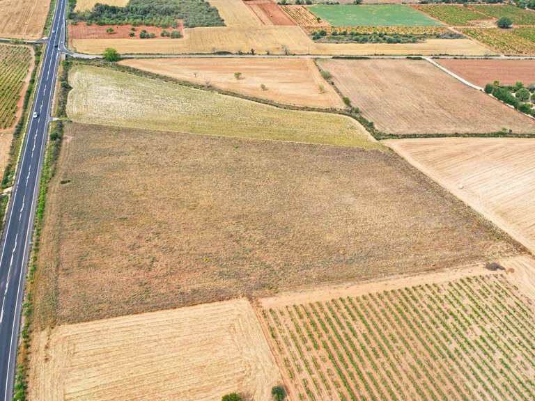 Plot for Sale in Felanitx, Balearic Islands 6