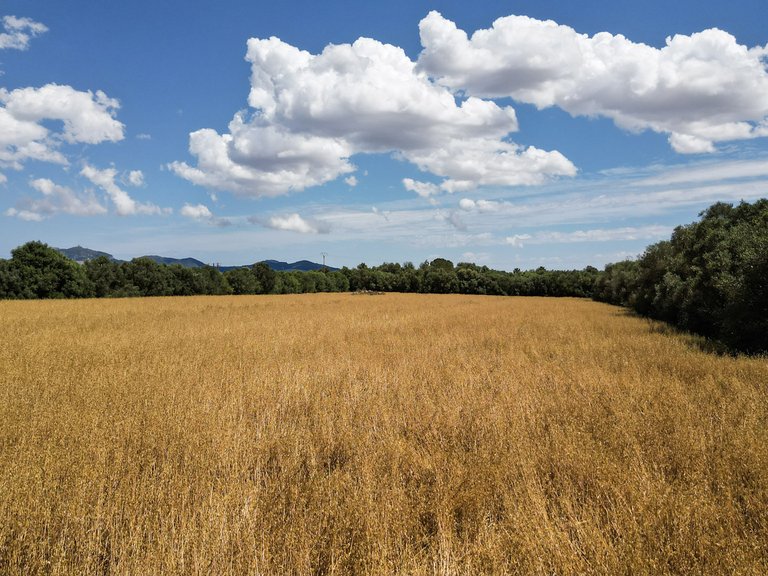 Plot for Sale in Felanitx, Balearic Islands 6
