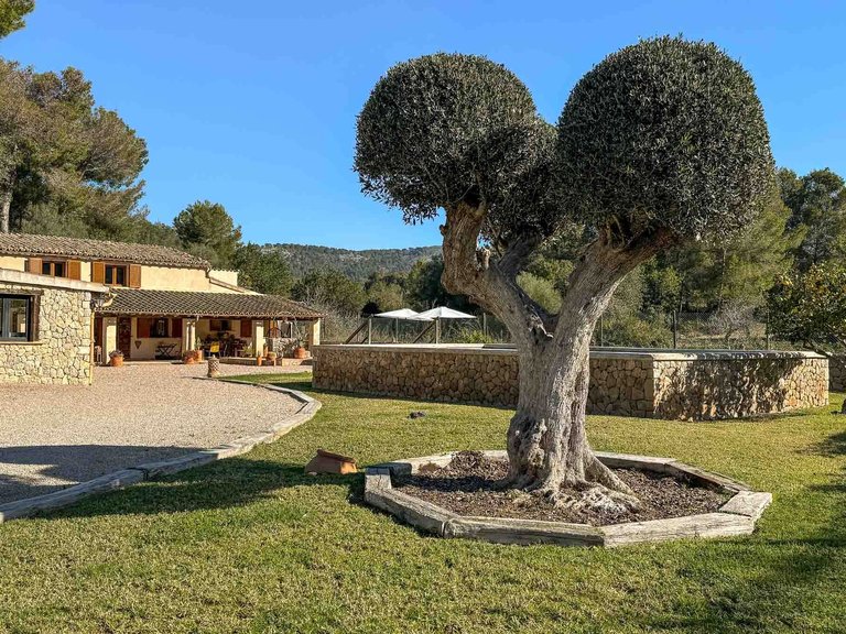Country House for Sale in Calvià, Balearic Islands 1