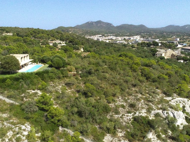 Country House for Sale in Felanitx, Balearic Islands 7