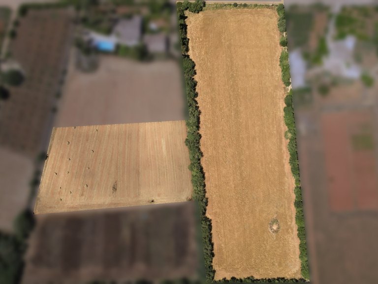 Plot for Sale in Felanitx, Balearic Islands 4