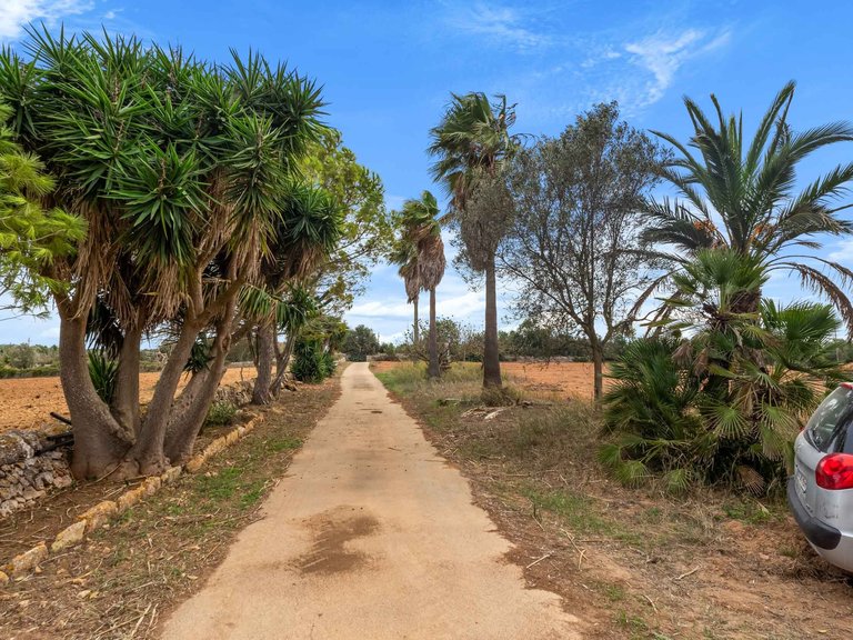 Country House for Sale in Felanitx, Balearic Islands 14
