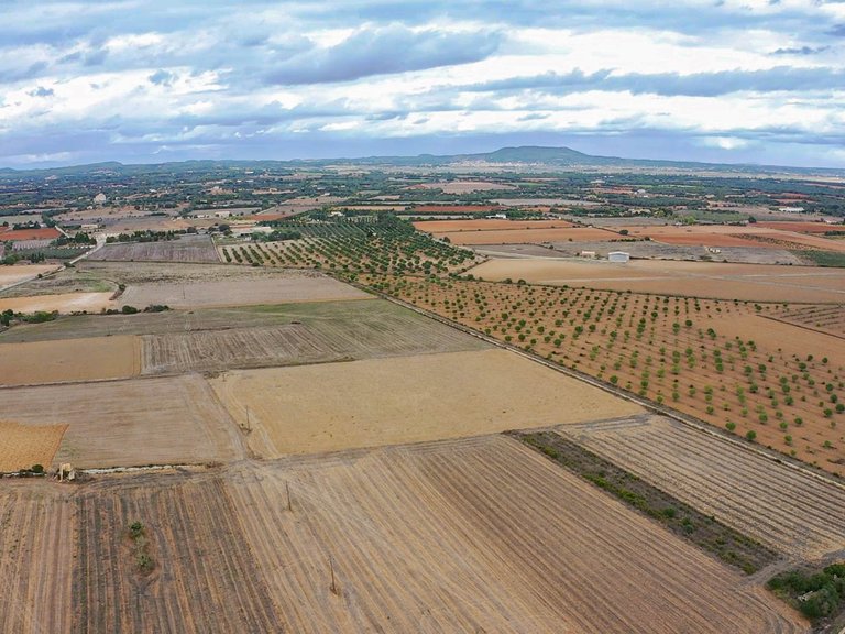 Plot for Sale in Felanitx, Balearic Islands 6