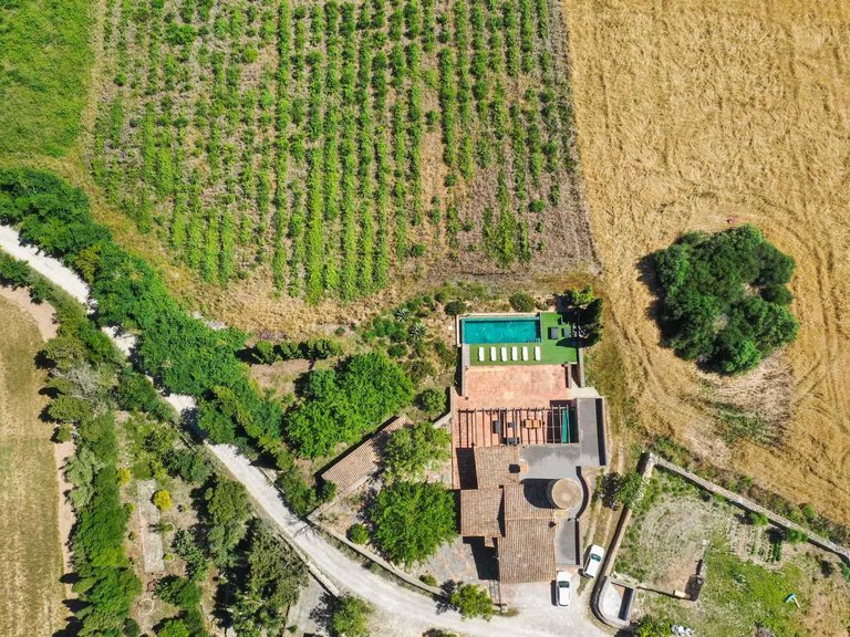 Country House for Sale in Felanitx, Balearic Islands 3