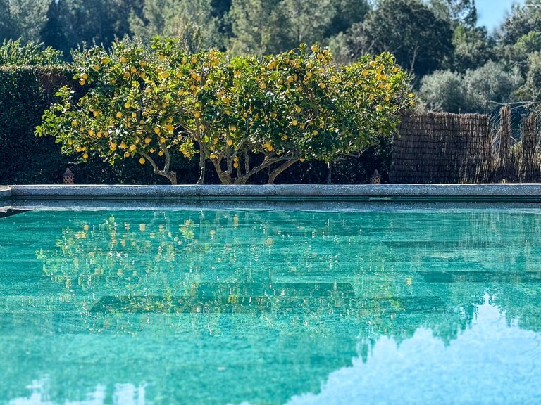 Country House for Sale in Calvià, Balearic Islands 49