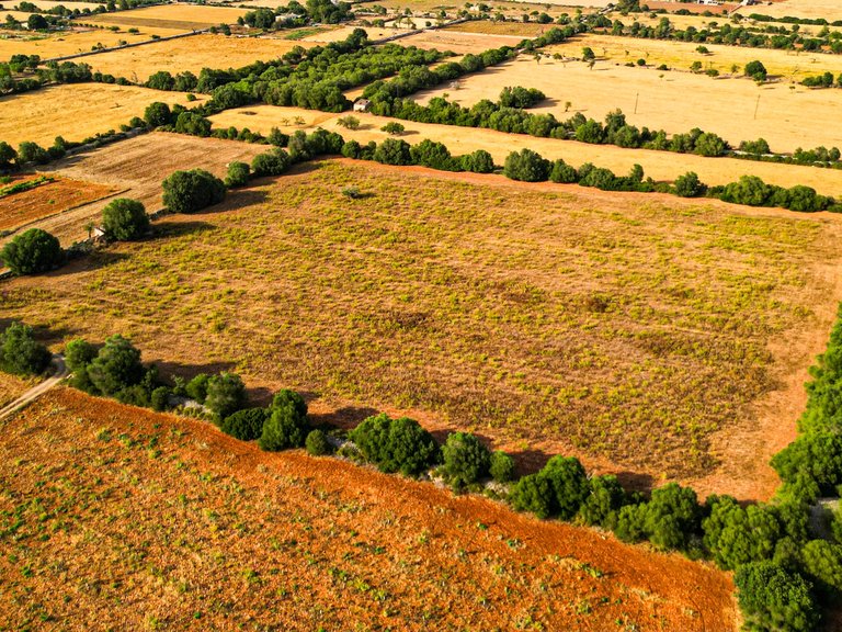 Plot for Sale in Felanitx, Balearic Islands 9