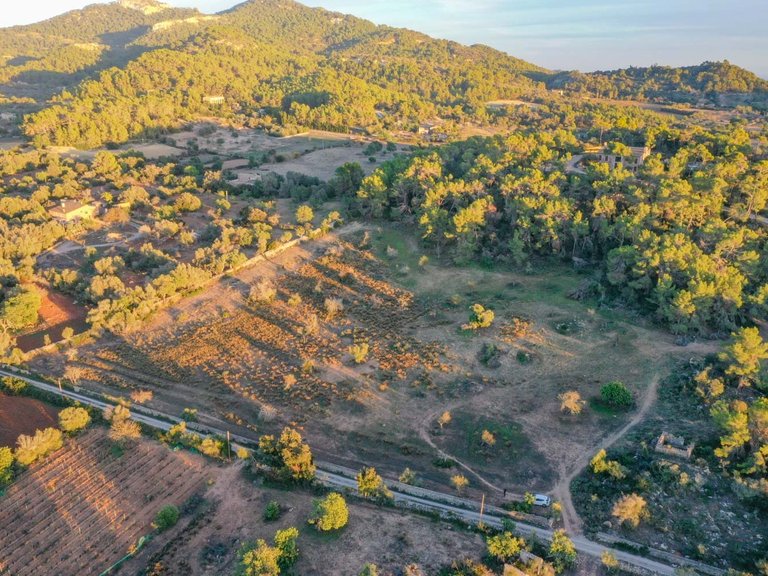 Plot for Sale in Cas Concos, Balearic Islands 13